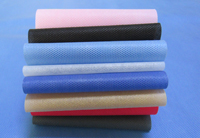 市中涤纶（PET）无纺布是什么